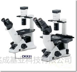 倒置显微镜CKX31-A11RC | 倒置显微镜CKX31-A11RC价格参数